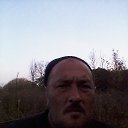 ���� ����� ���, �������, 41 ��� - ��������� 1 ������ 2022 � ������ ���� ����������