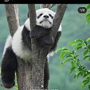 ���� ������, �����������, 37 ��� - ��������� 7 ������ 2022 � ������ ���� ����������