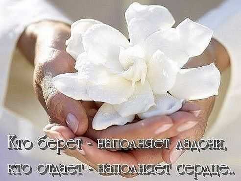 НЕЖНОСТЬ.Нежность проявляется во взгляде,в нотках голоса, в прикосновеньиНежность-очень хрупкое ...