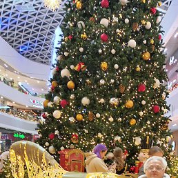 ���� �������, ������, 48 ��� - ��������� 30 ������� 2022