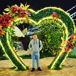 �����, ���������, 26 ���