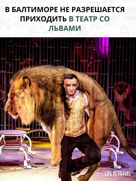Тех, кто придумывает такие странные законы, допускать к работе без справки от психиатра нельзя - 2