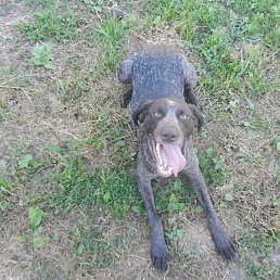 ����, ������, 25 ���