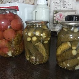 �����, ������, 53 ����