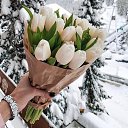 ���� �������, ������ - ��������� 9 ������� 2023 � ������ ���� ����������