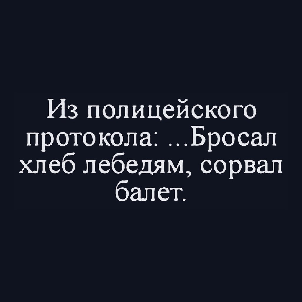 ������������� ���� - 24 ������ 2022 � 20:55