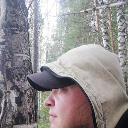 �������, �������, 41 ���