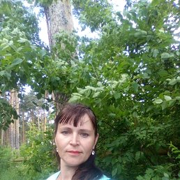 , 38 ,  