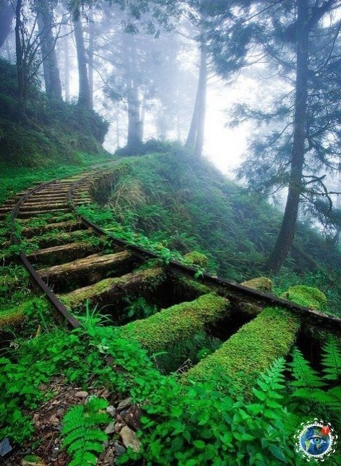 e aa o... e oao! pa pace eca   