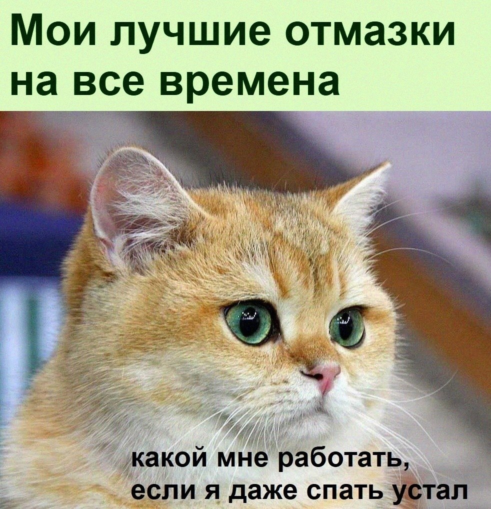   :D - 7  2022  20:37
