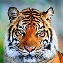 ���� �������, �����-���������, 46 ��� - ��������� 29 ������ 2022 � ������ ���� ����������