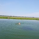 ���� ������, ����, 61 ��� - ��������� 5 ������ 2022 � ������ ���� ����������