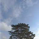 ���� �����, ������, 64 ���� - ��������� 18 ������� 2023 � ������ ���� ������ ���....�
