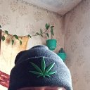 ���� �����, �����, 44 ���� - ��������� 28 ������� 2022