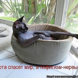 ���� ����, �����, 70 ��� - ��������� 27 ��� 2022