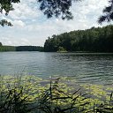 ���� ����, �������, 57 ��� - ��������� 17 ������ 2022