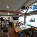 ���� �����, �����-���������, 71 ��� - ��������� 20 ���� 2022