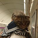 ���� ������, �����-���������, 55 ��� - ��������� 17 ������� 2022 � ������ ���� ����������