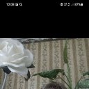 ���� �������, �����������, 65 ��� - ��������� 16 ������� 2022