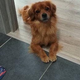 ���� ����, �������� - ��������� 9 ������� 2022