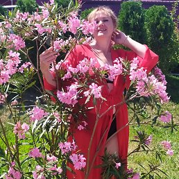 ���� ����, ��������, 50 ��� - ��������� 14 ���� 2022