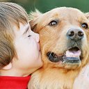 ���� ����, ������, 71 ��� - ��������� 20 ���� 2022 � ������ ���� ����������