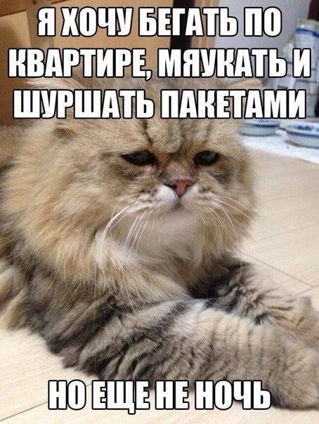    - 10  2022  05:08