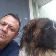 ����, 55 ���, ������