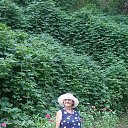 ���� ����, ����, 64 ���� - ��������� 18 ������� 2022 � ������ ���� ����������