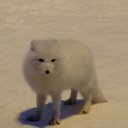 ���� �����, ������, 44 ���� - ��������� 7 ������ 2023