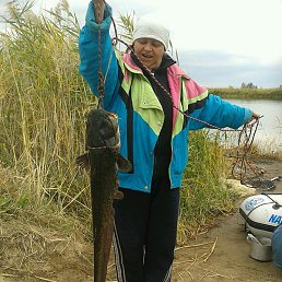 ��������, ������, 59 ���