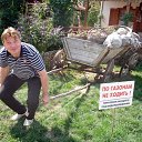 ���� ��������, ���������, 60 ��� - ��������� 8 ������ 2022 � ������ ���� ����������