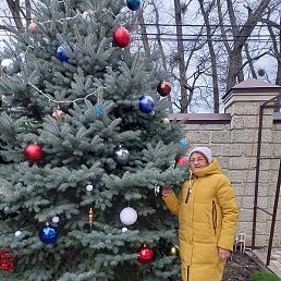 �������, ����������, 69 ���