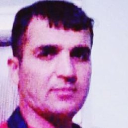 �������, �����-���������, 46 ���