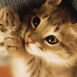 ����, �����������, 25 ���