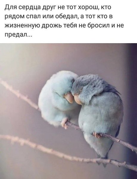   - 13  2022  23:21