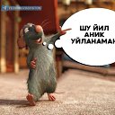 ���� ���������, ������, 25 ��� - ��������� 1 ������ 2023