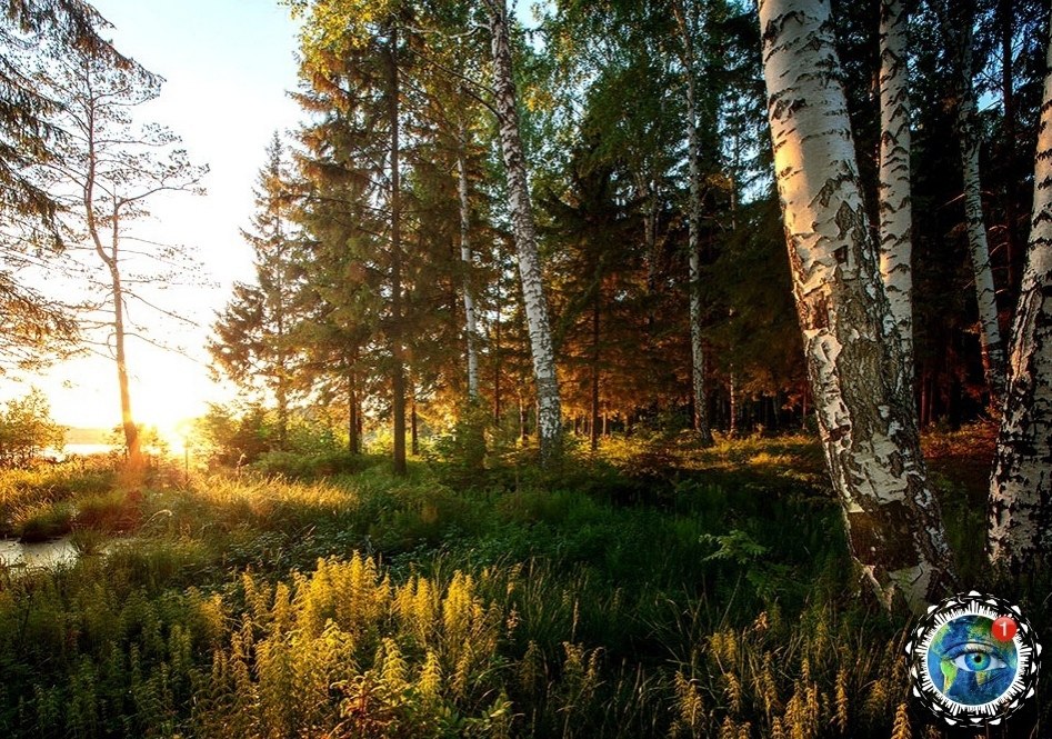��ep��o�c�a� o��ac��.���eca �p�po�� �e��pa��������� ������������ ���