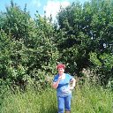 ���� ����, ��������, 71 ��� - ��������� 24 ���� 2022 � ������ ���� ����������