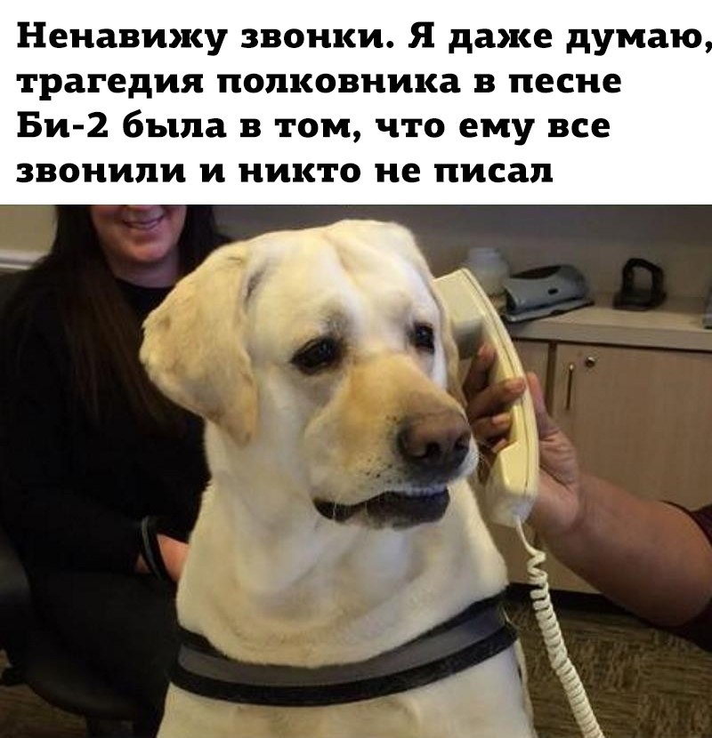  - 8  2022  15:12