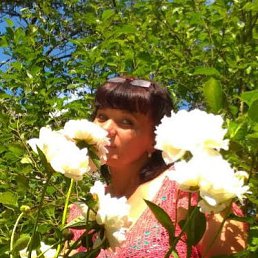 ���� �������, ������, 52 ���� - ��������� 14 ������� 2022