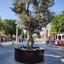 ���� �������, ������������, 59 ��� - ��������� 12 ������ 2022