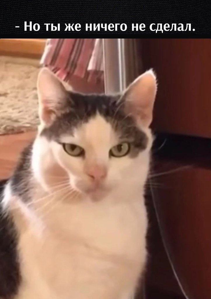       - 27  2022  11:12 - 2