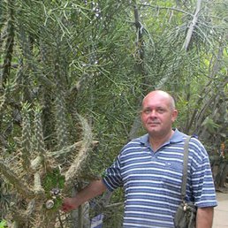 ������, ������, 61 ���