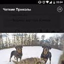 ���� �������, �������, 61 ��� - ��������� 8 ������ 2022 � ������ ���� ����������