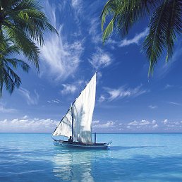 ���, ������ ��������, 70 ���