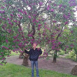 Sergei, ���������, 45 ���