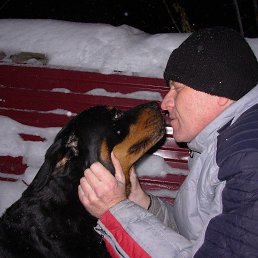 ���� �����, ������, 53 ���� - ��������� 19 ������� 2023