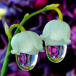 ���� ����, �������, 62 ���� - ��������� 8 ������ 2023