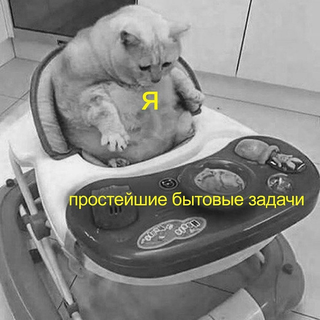   - 2  2023  00:36